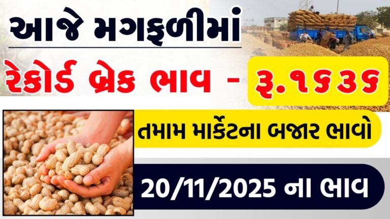 magfali bhav gujarat